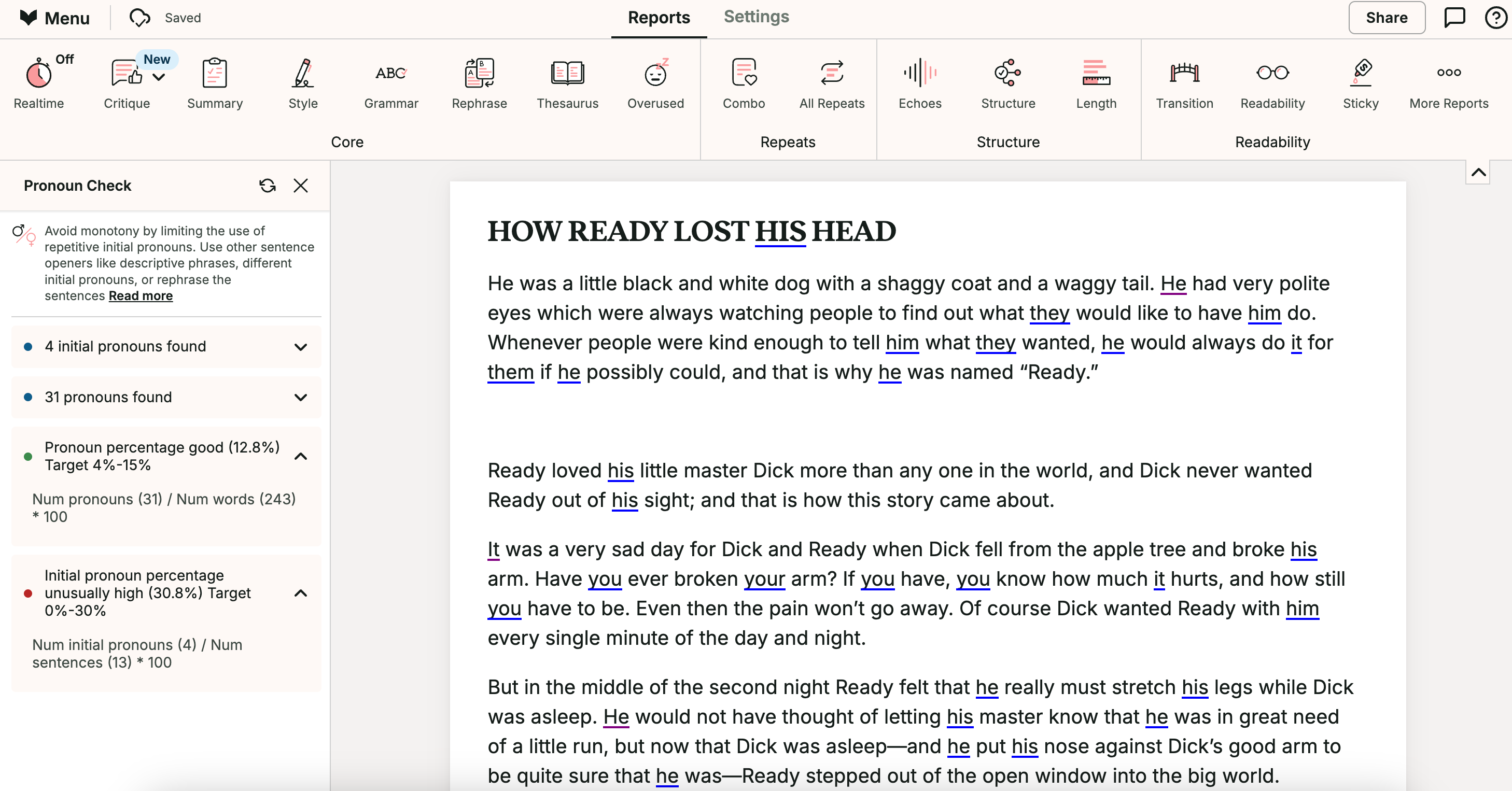 Pronoun Checker within ProWritingAid