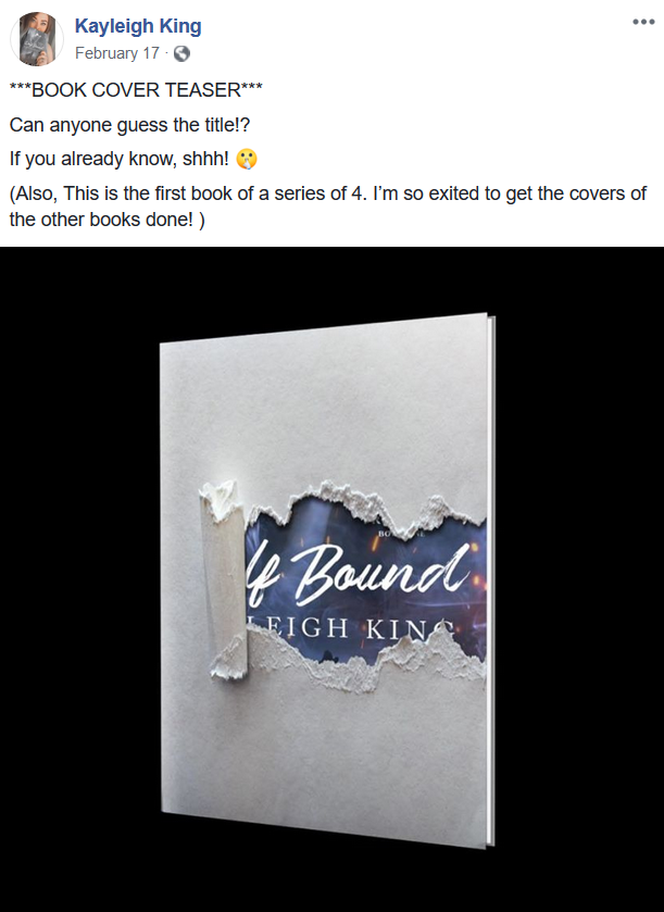 book cover teaser
