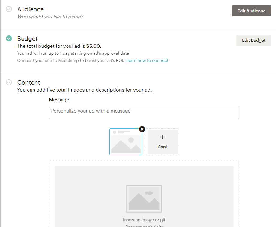 mailchimp retargeting ads creation form