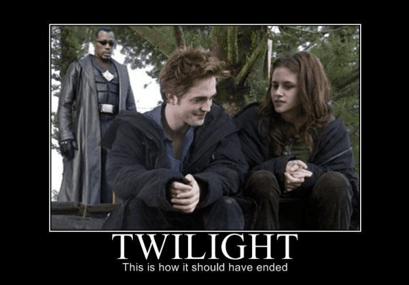 Twilight Back Cover Example